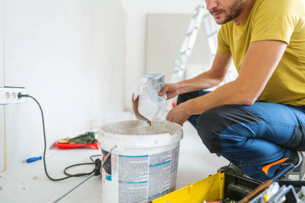 Best Attic Mold Removal  in Isle Of Palms, SC