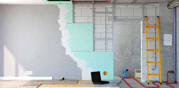 Best Forensic Mold Investigation  in Isle Of Palms, SC