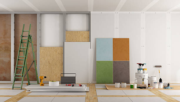 Best Black Mold Removal  in Isle Of Palms, SC